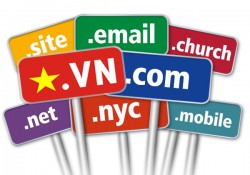 Hướng dẫn cách nhận lại mail xác minh domain